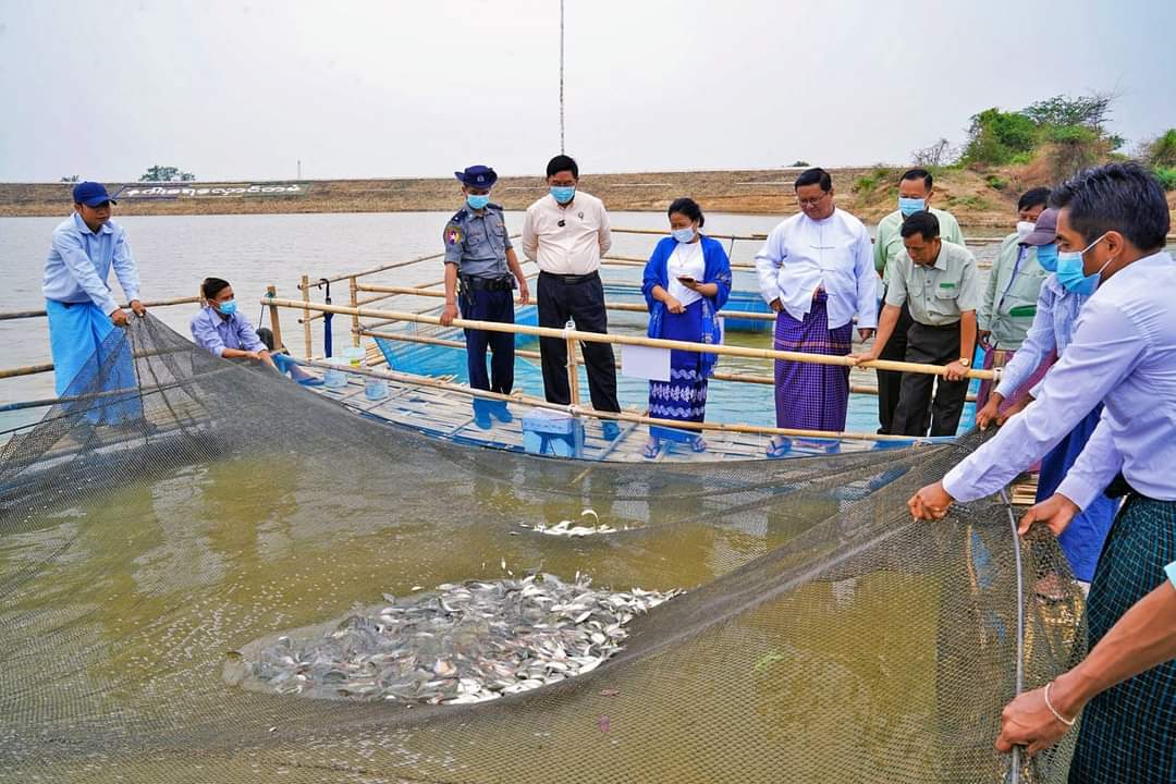 မကွေးတိုင်းဒေသကြီး ဝန်ကြီးချုပ် ဦးတင့်လွင် ရေနံချောင်းမြို့နယ် နဂါးရေလှောင်တမံအတွင်း ပိုက်လှောင်အိမ်စနစ်ဖြင့် ငါးမွေးမြူရေးလုပ်ငန်း(စမ်းသပ်စီမံကိန်း)အား ကြည်ရှုစစ်ဆေး