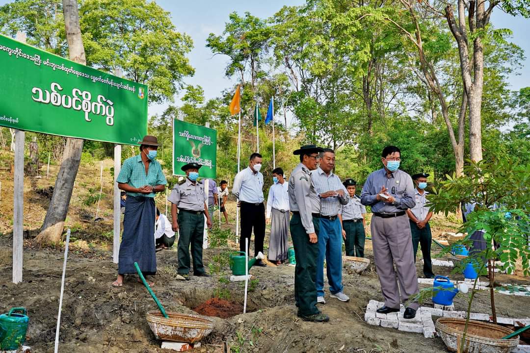 မကွေးတိုင်းဒေသကြီး ဝန်ကြီးချုပ် ဦးတင့်လွင် ရွှေစက်တော်မန်းချောင်းအပန်းဖြေဆင်စခန်း ၂၀၂၂ ခုနှစ် မိုးရာသီသစ်ပင်စိုက်ပွဲသို့ တက်ရောက်၊ ပွင့်ဖြူမြို့နယ် ဖလံကျင်းကျေးရွာအုပ်စု နွေနှမ်းစိုက်ခင်း အောင်မြင်ဖြစ်ထွန်းမှုအား ကြည်ရှုအားပေး