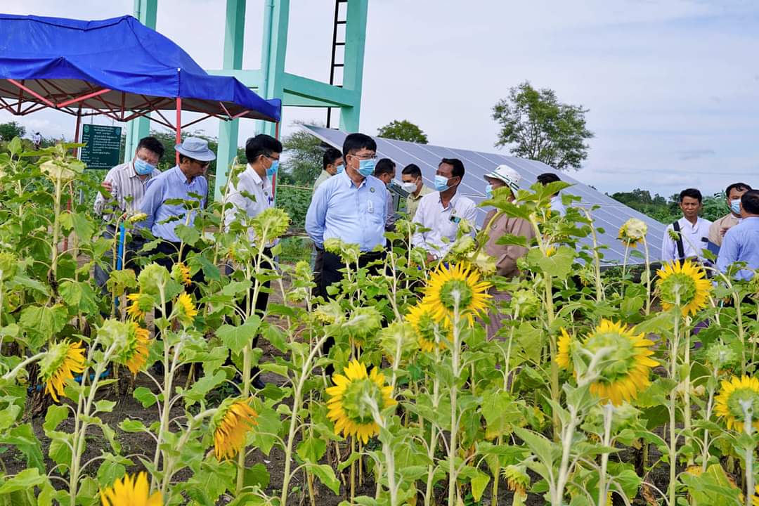 တိုင်းဒေသကြီးဝန်ကြီးချုပ် ရေနံချောင်းမြို့နယ် ကံကြီးကျေးရွာအုပ်စု ချည်မျှင်ရှည်ဝါနှင့် နေကြာစိုက်ခင်းဇုန်သို့ ရောက်ရှိပြီး နေကြာသီးနှံ တိုးချဲ့စိုက်ပျိုးခြင်း အောင်မြင် ဖြစ်ထွန်းမှုအား ကြည့်ရှုစစ်ဆေး