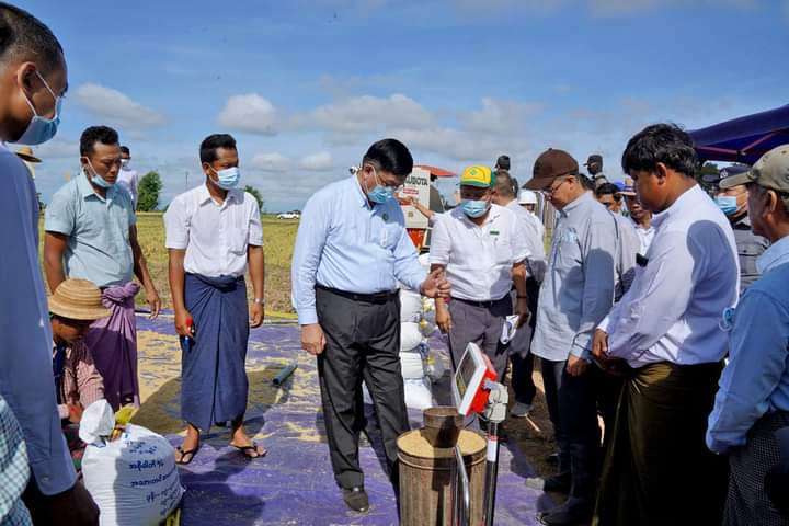 မကွေးတိုင်းဒေသကြီးဝန်ကြီးချုပ် ဦးတင့်လွင် မင်းဘူး(စကု)မြို့နယ် ကျောက်စံကျေးရွာ၌ နွေစပါးမျိုးစေ့ထုတ်စိုက်ခင်း စံကွက်ရိတ်သိမ်းပွဲနှင့် မျိုးစေ့ထုတ်ကန်ထရိုက် လယ်ယာမြေစနစ် ဧက(၅၀၀) အတွက် မျိုးစပါးနှင့် မြေဩဇာပေးအပ်ပွဲအခမ်းအနား တက်ရောက်