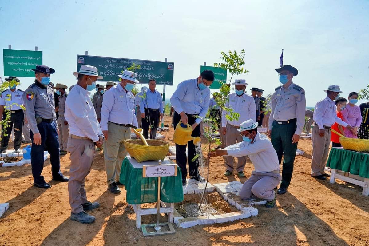 မကွေးတိုင်းဒေသကြီးအစိုးရအဖွဲ့ ဝန်ကြီးချုပ် ဦးတင့်လွင် ရေနံချောင်းမြို့နယ် မိုးရာသီသစ်ပင်စိုက်ပွဲတော်သို့ တက်ရောက်