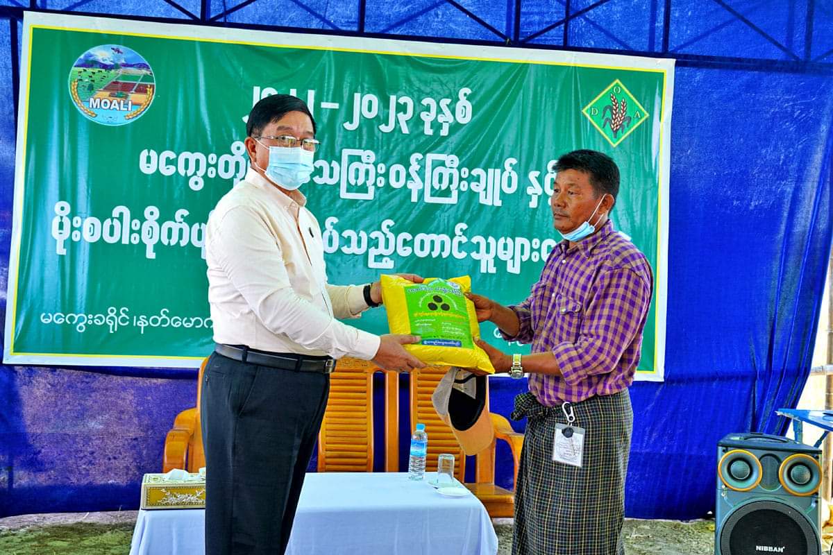 မကွေးတိုင်းဒေသကြီးဝန်ကြီးချုပ် ဦးတင့်လွင် နတ်မောက်မြို့နယ်အတွင်း စာရာန်အိုင့်ကျေးရွာ မိုးစပါးစိုက်ပျိုး ထုတ်လုပ်သည့် တောင်သူများနှင့် တွေ့ဆုံ၊ ရွာမွန်ကျေးရွာရှိ ချည်မျှင်ရှည်ဝါ(၅၀)ဧက မျိုးစေ့ထုတ်ဇုန် ရွှေတောင်(၁၀) စိုက်ခင်းအား ကြည့်ရှုစစ်ဆေး