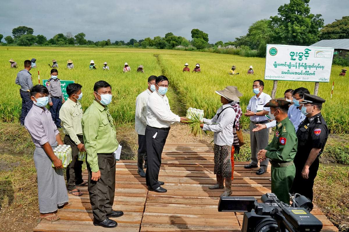 မကွေးတိုင်းဒေသကြီးဝန်ကြီးချုပ် ဦးတင့်လွင် ပွင့်ဖြူမြို့နယ်အတွင်း မုန်းသီတာစိုက်ပျိုးရေးကုမ္ပဏီ (ဖူးပွင့်သမအသင်း)မှ မိုးစပါးမျိုးစေ့ထုတ်စိုက်ခင်း အောင်မြင်ဖြစ်ထွန်းနေမှုအား ကြည့်ရှုကာ၊  ရွာခိုင်ကျေးရွာအုပ်စုမှ မိုးစပါးစိုက်တောင်သူများနှင့် တွေ့ဆုံ