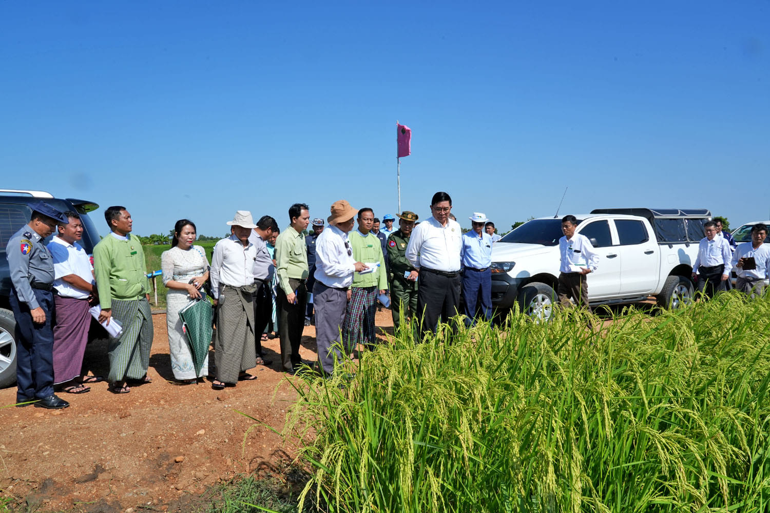 မကွေးတိုင်းဒေသကြီးဝန်ကြီးချုပ် ဦးတင့်လွင် မင်းဘူး(စကု)မြို့နယ်၌ မွေးမြူရေးနှင့် စိုက်ပျိုးရေးကဏ္ဍများ ဘက်စုံဖွံ့ဖြိုးတိုးတက်စေရေး အဆင့်မြှင့်တင်ခြင်းလုပ်ငန်းများ ဆောင်ရွက်ထားရှိမှုနှင့် အောင်မြင် ဖြစ်ထွန်းမှု ကြည့်ရှုစစ်ဆေး